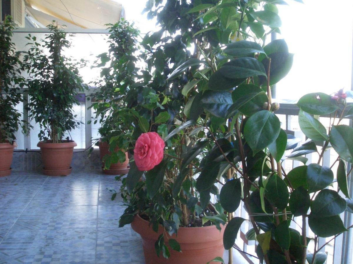 Athens Penthouse Cosy Apartment 外观 照片