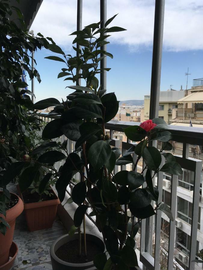 Athens Penthouse Cosy Apartment 外观 照片